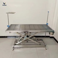 Table d'examen vétérinaire professionnelle en acier inoxydable hydraulique pour animaux de compagnie, instruments vétérinaires