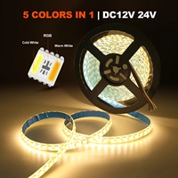 Bande de LED RVB CCT DC 12V 24V 5 couleurs en 1 puce SMD 5050 60 96 Leds/M IP30 IP65 décoration de la maison lumière de corde de ruban Flexible