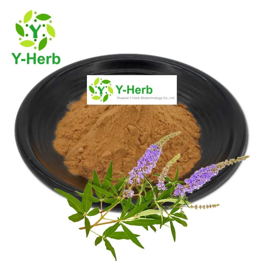 Y-Herb Großhandelspreis Großhandel keusch Baumbeere Vitex Trifolia Extraktpulver 10:1 Bio-Vitex-Extrakt