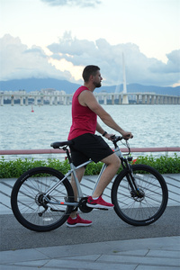 Venta Directa de Fábrica, Bicicleta Eléctrica de 29 Pulgadas, 9 Velocidades, Frenos de Disco Hidráulicos, Cuadro de Aluminio, EU001, Bicicletas Eléctricas para Adultos - Product Image 3