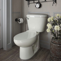 Gaya kesederhanaan Modern putih keramik Siphonic sanitasi dua potong Toilet kancing tunggal Flush untuk Hotel kamar cuci pabrik langsung