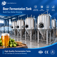 Fermenteur Conique Unitank à Pression en Acier Inoxydable 304/316L avec Vanne d'Échantillonnage et Pierre de Carbonatation pour Brasserie CIP
