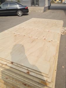 3/4 CDx madera contrachapada F17 Abond pegamento encofrado madera contrachapada construcción para el mercado australiano - Product Image 3