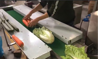 Machine d'emballage automatique pour légumes frais HNOC, laitue, concombre, flowpack