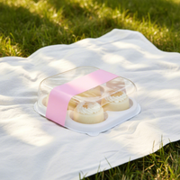 Boîte à gâteau jetable en PET transparent écologique à deux compartiments pour tiramisu et cupcakes