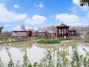 Tente de <span class=keywords><strong>camping</strong></span> en plein air, tente dôme, glamping, yourte en bois - Product Image 4