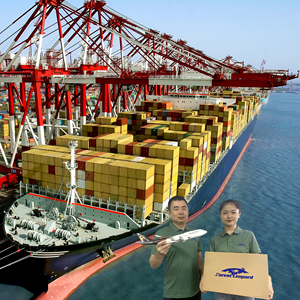 Frete Marítimo Internacional LCL FCL, Taxas de Envio de Carga da China para a Espanha e Equador - Product Image 3