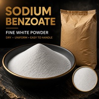 Conservateur alimentaire de haute pureté, benzoate de sodium en poudre, CAS 532-32-1, 99% de benzoate de sodium