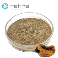Complément alimentaire naturel à base d'extraits de Phellinus Igniarius, soluble dans l'eau, poudre de Phellinus Igniarius