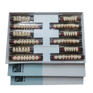 Dental Supply Multi-layer False Acrylic Resin Teeth/Denture Composite Resin Teeth