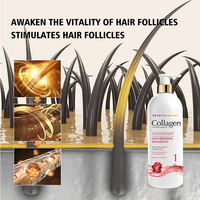 Shampo Kolagen Salon Profesional 800ml Formula Restoratif untuk Rambut Rusak Parah Pabrik ODM