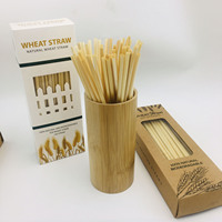 100% biodégradable Foin Pailles De Blé Naturel Pailles à Boire