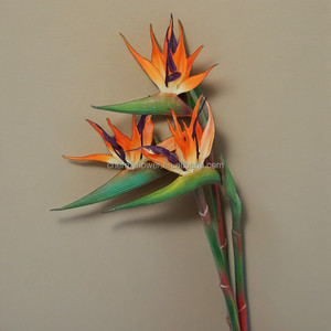 CM-TH1229 artificiali tropici fiori decorazioni per la casa morbido PVC artificiale vero tocco uccello del paradiso pianta fiore