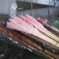 HFloral Grosir Bunga Kering Alami Berkualitas Tinggi Buket Rumput Pampas Kecil untuk Rumah Wisuda Natal Baru