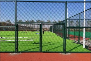 Césped Artificial para Jardín, Resistente al Agua y a los Rayos UV, Material Elástico de PP+Acero+PU, Calibre 3/16'', Tamaño 4x25m, Color Personalizado, Duración de 5-8 Años - Product Image 3