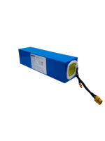 Batterie de vélo électrique et de trottinette électrique BMS écologique personnalisée, 48V 15Ah, batterie lithium-ion rechargeable