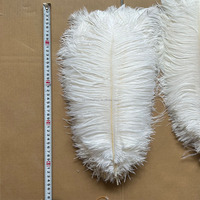 Plumes d'autruche blanches de 40-45 cm (16-18 pouces) parfaites pour l'artisanat, les décorations de carnaval, les centres de table et les garnitures de vases
