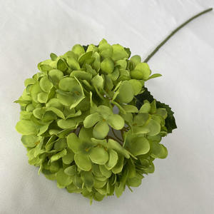 Hydrangea vert en soie, hydrangea <span class=keywords><strong>stabilisé</strong></span>, fleur artificielle de haute qualité, centre de table pour mariage - Product Image 1