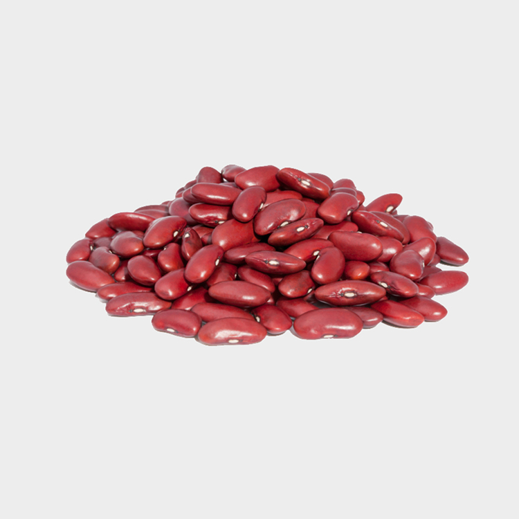 Organic New Crop Dark Red Kidney Beans Hot Selling