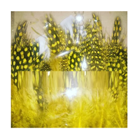 Plumes naturelles teintes de 3,4 pouces pour artisanat fait main, centres de table, accessoires de mode, fêtes, mariages, décoration intérieure Soraj Enterprises