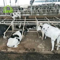Establo para Vacas de Alta Resistencia con Cubículos Portátiles Galvanizados en Caliente para Granjas Lecheras