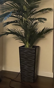 Grand <span class=keywords><strong>pot</strong></span> de fleurs en <span class=keywords><strong>plastique</strong></span> moderne et durable pour le sol, la maison et le jardin - Jardinière décorative - Product Image 5