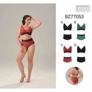 Costume da bagno intero da donna taglie forti con scollo a V, arricciato, controllo pancia, senza schienale, per l'estate, all'ingrosso, nuovo BZ77053 - Product Image 1