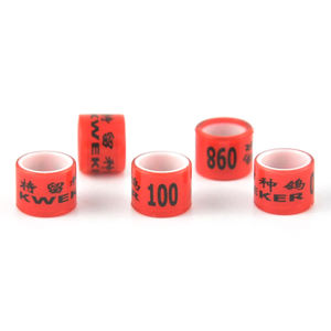 Taiwan Filipijnen 2019 Postduivenringen Nieuwe Duivenring Verbieden - Product Image 4