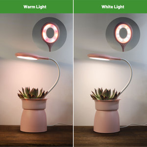 10 niveaux de gradation <span class=keywords><strong>charge</strong></span> USB 10W élèvent des outils de jardinage légers ensembles de plantes d'intérieur minuterie led planteur de bureau également comme veilleuse - Product Image 4