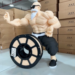 PETG ベーシックディープスキン3Dプリンターフィラメント、反りなし、引っ張りなし3Dフィラメント - Product Image 6