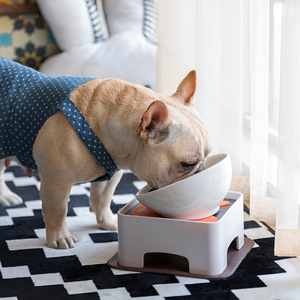 Comedero y Mesa de Comedor Ajustables de Cerámica para Perros, Diseño <span class=keywords><strong>Bulldog</strong></span> Francés, Ergonómico para la Columna Cervical - Product Image 2