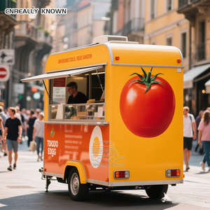 Camion de restauration rapide mobile OEM avec cuisine complète, conception rapide pour remorque, chariot, van, kiosque - Product Image 3