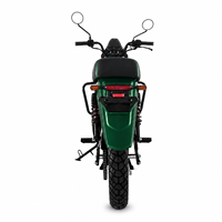 Long Range Battery swappable Electric Motorcycle Offroad Cargo Bike