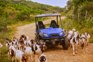 Meilleur 2 sièges <span class=keywords><strong>électrique</strong></span> utv 4x4 4wd <span class=keywords><strong>roue</strong></span> avant 3KW <span class=keywords><strong>roue</strong></span> arrière 7.5KW drive à vendre véhicules utilitaires de chasse adultes comme <span class=keywords><strong>Polaris</strong></span> - Product Image 5