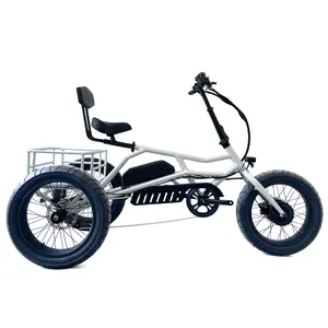 थोक व्यापारी वयस्कों 750w/500W 3 पहिया कार्गो बाइक कार्गो बिजली trike चीनी बिजली tricycle वसा टायर बिजली tricycle