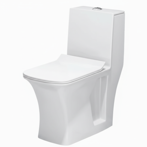 Inodoro de una pieza Bullet-12 para uso en villas modernas, baños escolares y hoteles, con descarga por arrastre y sifón en P alargado. - Product Image 1