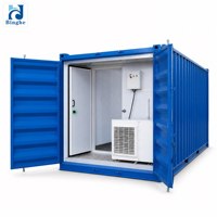 Chambre Froide Conteneurisée BINGHE Réglable -15°C -18°C, Stockage Frigorifique Modulaire 20GP 40GP, Classe Anti-incendie B1, Option Solaire pour Produits Congelés