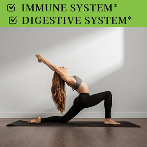 Comprimés de lactobacilles de haute qualité favorisant la santé digestive, favorisant le confort, améliorant l'absorption des nutriments et favorisant une meilleure digestion. - Product Image 3