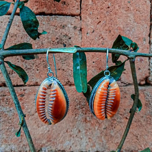 Pendientes geométricos étnicos de Plata de Ley 925 con bisel de borde trenzado con concha de cauri para regalos de fiesta - Product Image 1