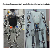 Actuador de Juntas para Robot Industrial Doingwin L70I, Motor Servo de Eje Hueco con Torque Nominal de 50 Nm, Reductor Armónico, Holgura ≤1arcmin