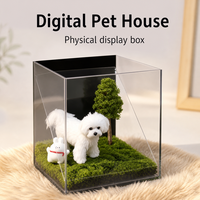 Boîte de présentation transparente en acrylique 3D pour projection holographique numérique de photos d'animaux de compagnie, souvenir commémoratif moderne, 165g, personnalisable, vente en gros