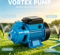 Pompe à eau périphérique haute efficacité, faible bruit, auto-amorçante, à vortex, pour surpression d'eau domestique et alimentation en eau de jardin