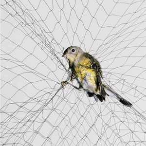 شبكة صيد للطيور والخفافيش الزراعية، شبكة متينة وخفيفة الوزن لحماية المحاصيل في المزارع والبساتين، مباشرة من المصنع - Product Image 2