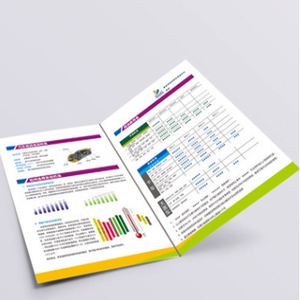 Impression personnalisée de votre propre logo, prospectus publicitaire à bas prix - Product Image 6