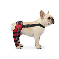 Manchon de protection post-chirurgical transfrontalier pour animaux de compagnie (chats et chiens) – Couvre les deux pattes arrière, protège les genoux, empêche de lécher – Tout-en-un