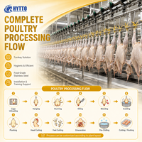Équipement d'abattage de volailles CE, ligne d'abattage de poulets 3000-5000BPH, conception complète