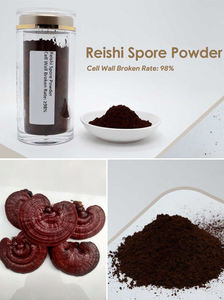 Pó de Esporos de Cogumelo <span class=keywords><strong>Reishi</strong></span> Orgânico 98% com Parede Celular Quebrada em Grande Quantidade - Product Image 2