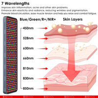 Lampe de luminothérapie rouge à 7 longueurs d'onde BioMol avec design infrarouge sur pied pour le visage et le corps, écran tactile, utilisation à domicile