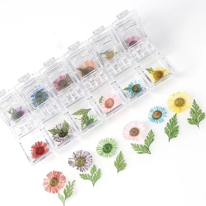 Ensemble de <span class=keywords><strong>fleurs</strong></span> séchées pour manucure, pièces, haute qualité, divers paquets, <span class=keywords><strong>fleurs</strong></span> naturelles pressées pour <span class=keywords><strong>fleurs</strong></span> séchées, nail art - Product Image 6