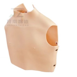 Simulador de Auscultación Cardiopulmonar, Modelo de Enseñanza Clínica de Sonidos Cardíacos y Pulmonares para Entrenamiento Inteligente (Estilo Bikie) - Product Image 2